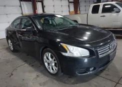 1N4AA5AP7DC817096: 44047141