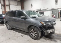 5FNYF6H52KB041366: 44047193