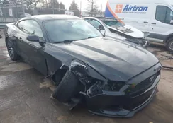 1FA6P8TH5G5224177: 44048628