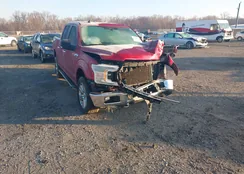 1FTEW1E50KFD16111: 44048776