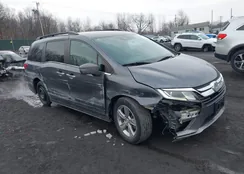 5FNRL6H55JB059310: 44048979