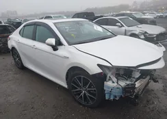 4T1F31AKXMU562764: 44048996