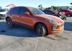 WP1AA2A50NLB04869: 44049149