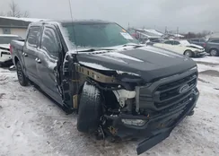 1FTEW1EP8MFB41319: 44049761