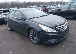 5NPEC4AB2BH189339: 44049246