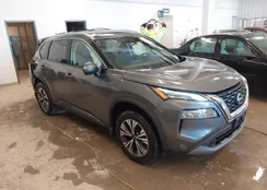 5N1BT3BA1PC869461: 44049292