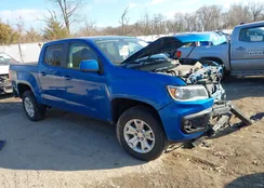 1GCGTCEN1M1132437: 44050975