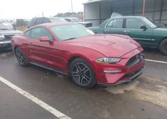 1FA6P8TH1K5177948: 44050237