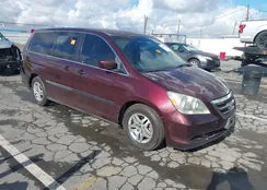 5FNRL38217B056093: 44051839