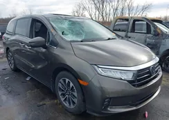 5FNRL6H7XMB036742: 44052078