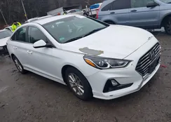 5NPE24AFXKH786325: 44051382