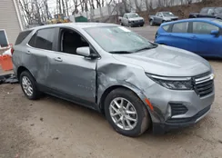 3GNAXUEGXRL359117: 44051513