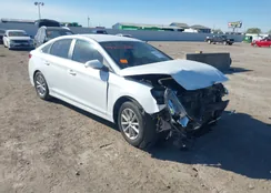 5NPE24AF8KH816454: 44051580