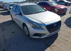 KMHE24L15GA039310: 44053196