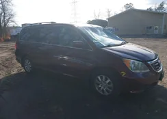 5FNRL38439B032852: 44052420