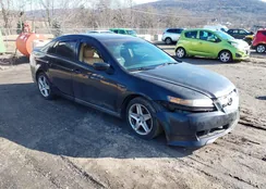 19UUA66286A058534: 44053690