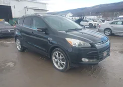 1FMCU9J98EUC40749: 44053955