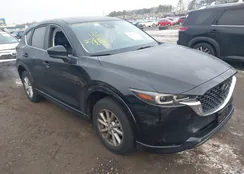 JM3KFBBL7S0556942: 44053527