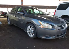 1N4AA5AP3EC435701: 44053562