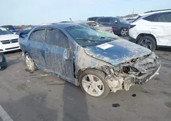 5YFBU4EE1DP110611: 44054684