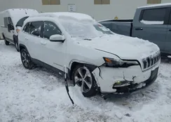 1C4PJLDB7KD300493: 44054718