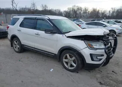 1FM5K8D89HGD95115: 44054954