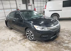 1HGCR2F09GA079650: 44054959