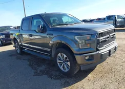 1FTEW1CF6HFA09465: 44055764