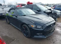 1FATP8UH1F5380961: 44057991