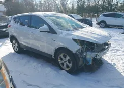 1FMCU9GX6FUA96772: 44058211