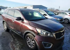 5XYPG4A33GG041253: 44057312