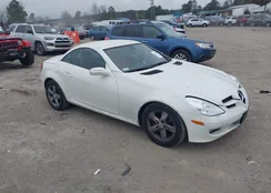 WDBWK54FX8F184242: 44059189