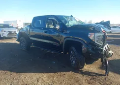 3GTUUFEL3TG166329: 44058300