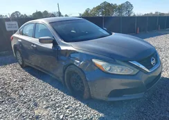 1N4AL3AP6HC202673: 44059718