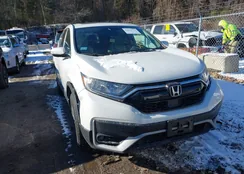 2HKRW2H5XMH650920: 44059775