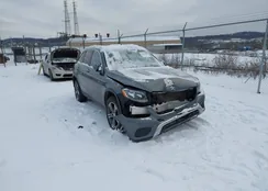 WDC0G4JB5GF005859: 44060798