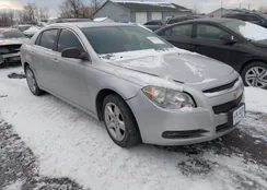 1G1ZB5EB4AF274348: 44061166