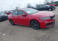 19UUB3F62JA005206: 44062004