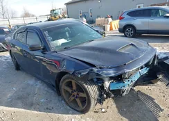 2C3CDXGJ3GH340598: 44061568