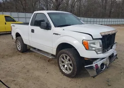 1FTRF14859KB23984: 44065013