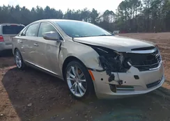 2G61P5S37G9153868: 44065099