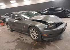 1ZVBP8AM8B5121902: 44065693