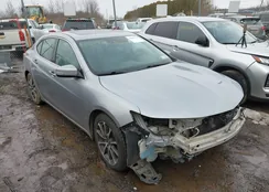 19UUB2F36KA004805: 44065324