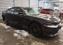 2C3CDXMG1MH629497: 44065377