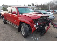 3TMMU4FN6CM041119: 44065543