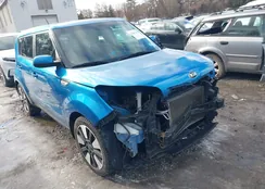 KNDJP3A57G7383528: 44067004