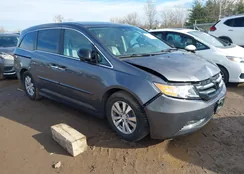 5FNRL5H63FB091845: 44068883