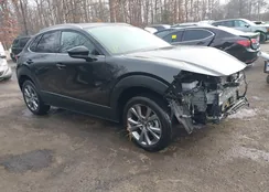 3MVDMBDM0RM703105: 44069257