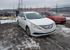 5NPEB4ACXEH887407: 44071570