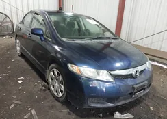 2HGFA1F53AH561209: 44072863